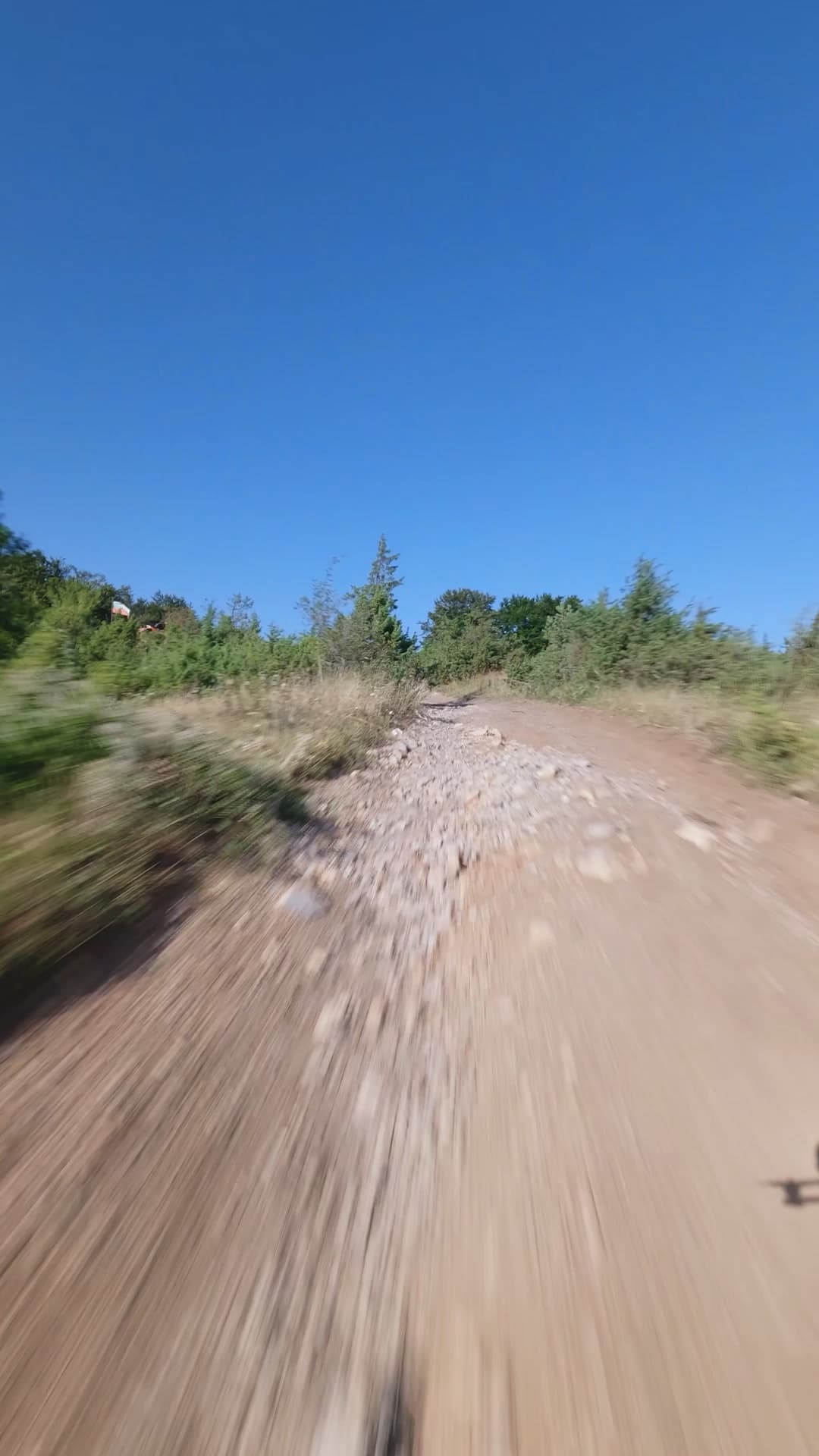 buggy_rollin